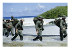 Полинезия, 2002 год
